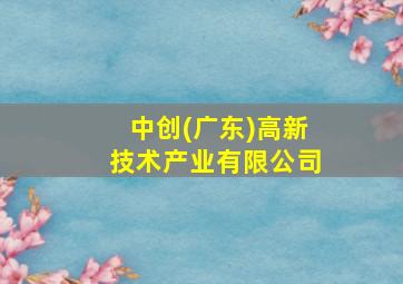 中创(广东)高新技术产业有限公司