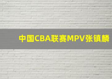 中国CBA联赛MPV张镇麟