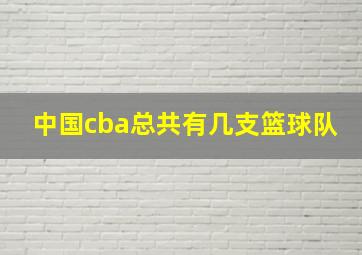 中国cba总共有几支篮球队