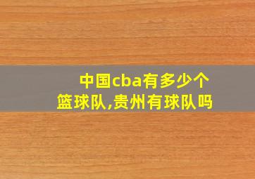 中国cba有多少个篮球队,贵州有球队吗