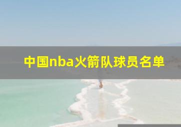 中国nba火箭队球员名单