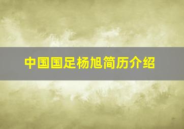 中国国足杨旭简历介绍