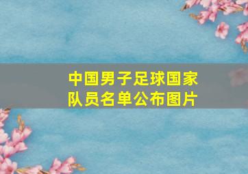 中国男子足球国家队员名单公布图片