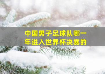 中国男子足球队哪一年进入世界杯决赛的