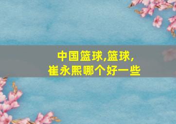 中国篮球,篮球,崔永熙哪个好一些