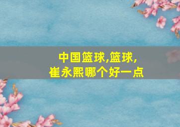 中国篮球,篮球,崔永熙哪个好一点