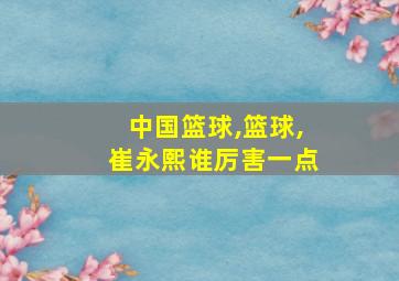 中国篮球,篮球,崔永熙谁厉害一点