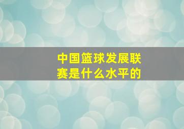 中国篮球发展联赛是什么水平的