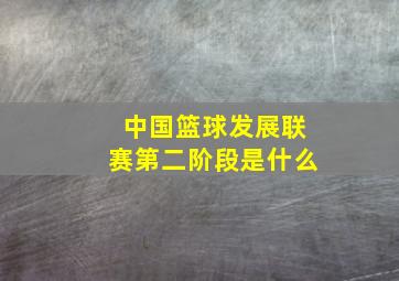 中国篮球发展联赛第二阶段是什么