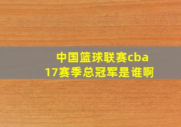 中国篮球联赛cba17赛季总冠军是谁啊