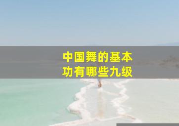 中国舞的基本功有哪些九级