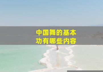 中国舞的基本功有哪些内容