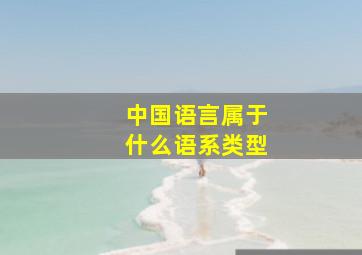 中国语言属于什么语系类型