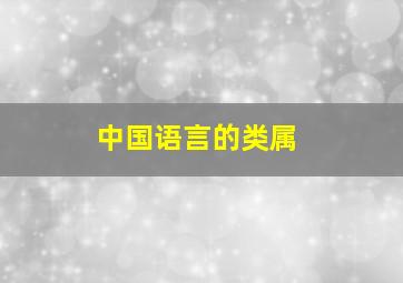 中国语言的类属