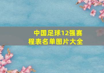 中国足球12强赛程表名单图片大全