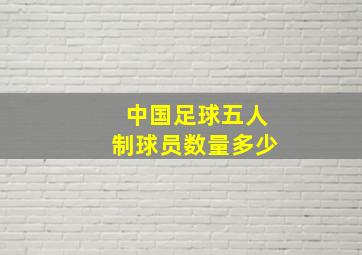 中国足球五人制球员数量多少