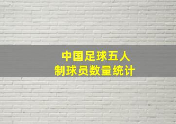 中国足球五人制球员数量统计