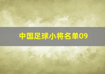 中国足球小将名单09