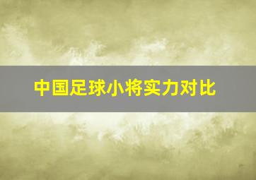 中国足球小将实力对比