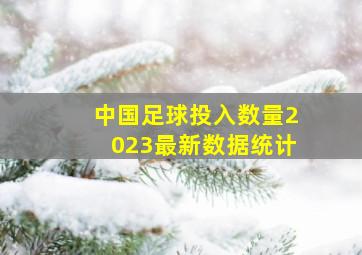 中国足球投入数量2023最新数据统计