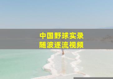 中国野球实录随波逐流视频