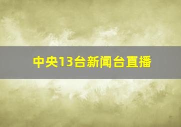 中央13台新闻台直播