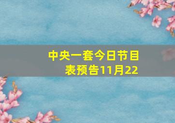 中央一套今日节目表预告11月22