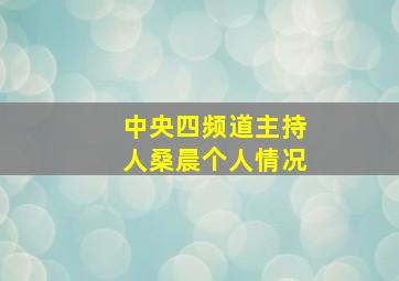 中央四频道主持人桑晨个人情况