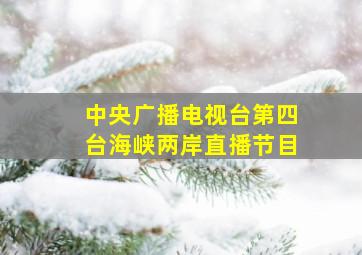 中央广播电视台第四台海峡两岸直播节目