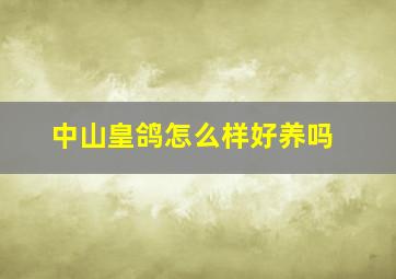 中山皇鸽怎么样好养吗