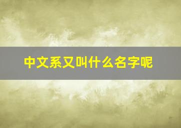 中文系又叫什么名字呢