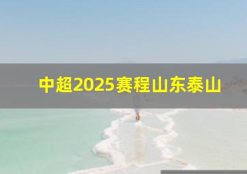 中超2025赛程山东泰山