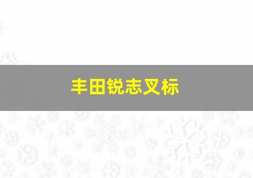 丰田锐志叉标