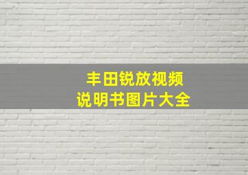 丰田锐放视频说明书图片大全