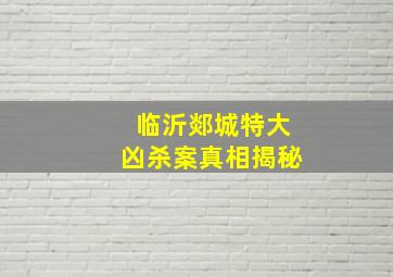 临沂郯城特大凶杀案真相揭秘