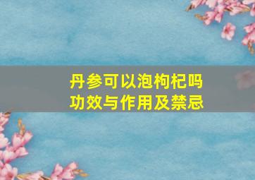 丹参可以泡枸杞吗功效与作用及禁忌