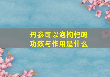 丹参可以泡枸杞吗功效与作用是什么