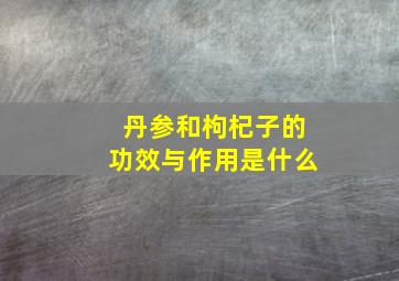 丹参和枸杞子的功效与作用是什么