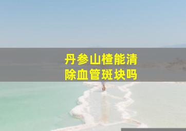 丹参山楂能清除血管斑块吗