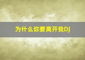 为什么你要离开我DJ