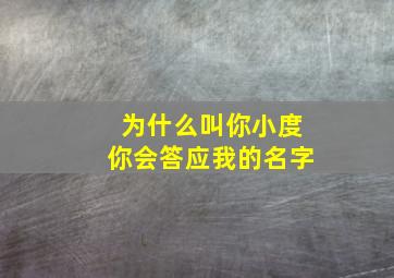 为什么叫你小度你会答应我的名字