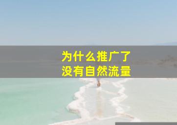 为什么推广了没有自然流量