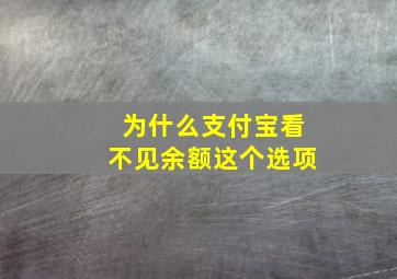 为什么支付宝看不见余额这个选项