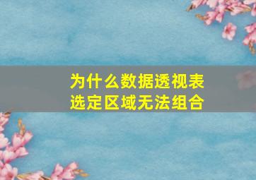 为什么数据透视表选定区域无法组合