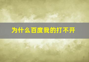 为什么百度我的打不开