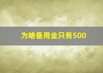 为啥备用金只有500