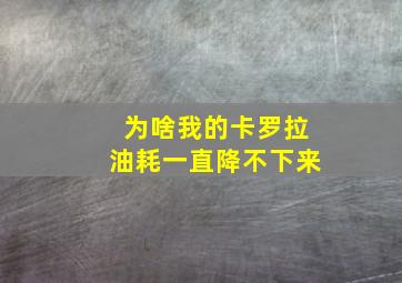 为啥我的卡罗拉油耗一直降不下来