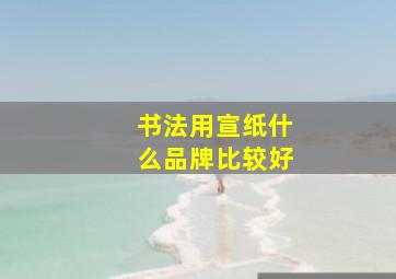 书法用宣纸什么品牌比较好