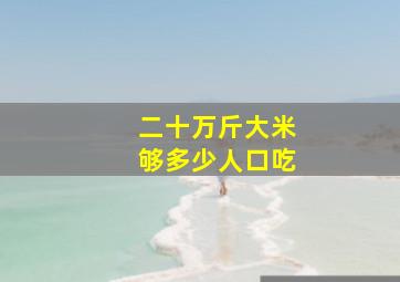 二十万斤大米够多少人口吃