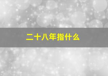 二十八年指什么